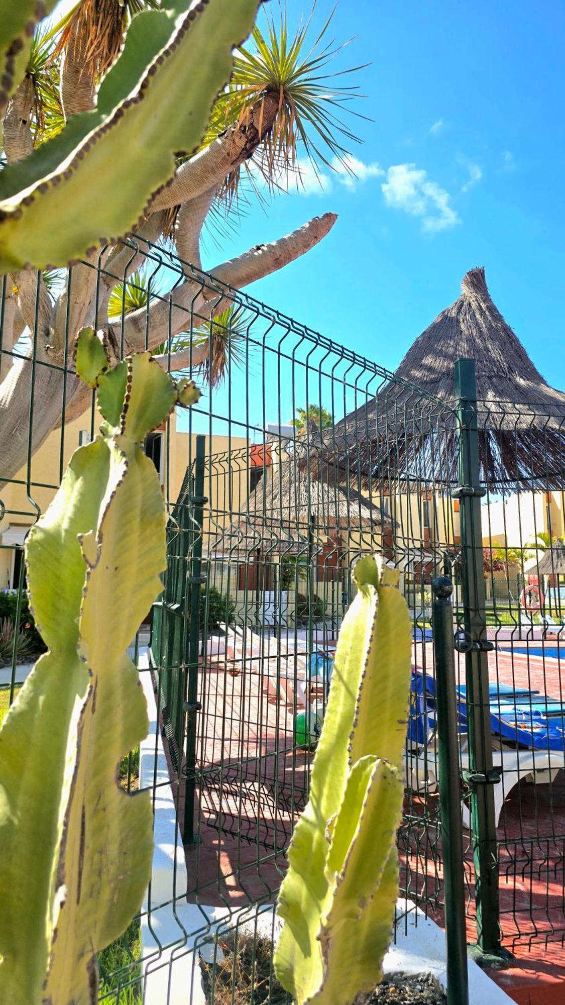 Dream Holiday Las Americas Playa de las Americas  Ngoại thất bức ảnh
